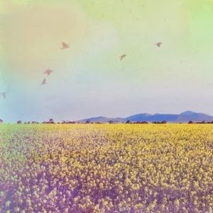 Meet your Posher, Tiffany-lynne